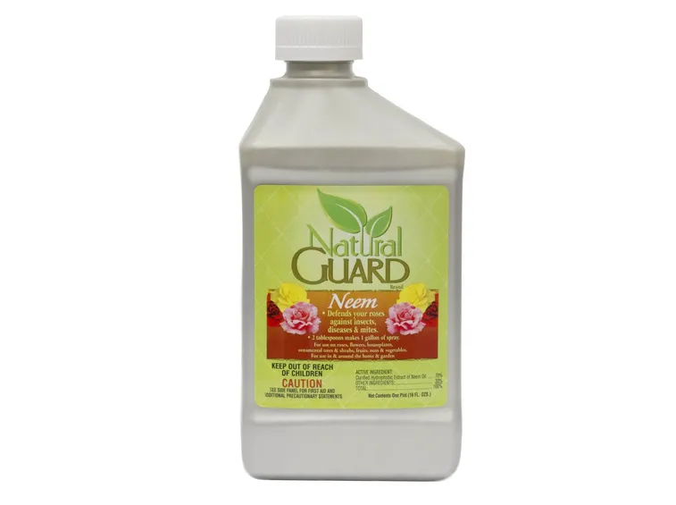 Olio neem