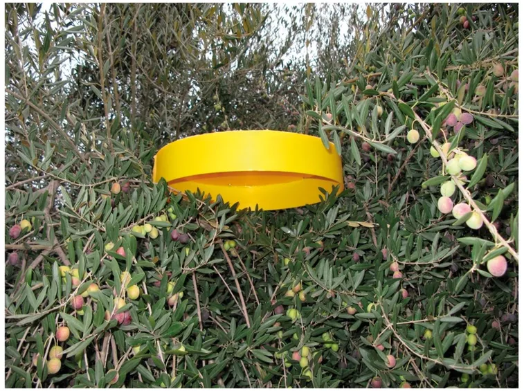 Trappole per lotta biotecnica