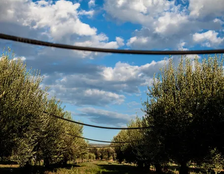Sistema irrigazione