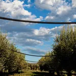 Sistema irrigazione