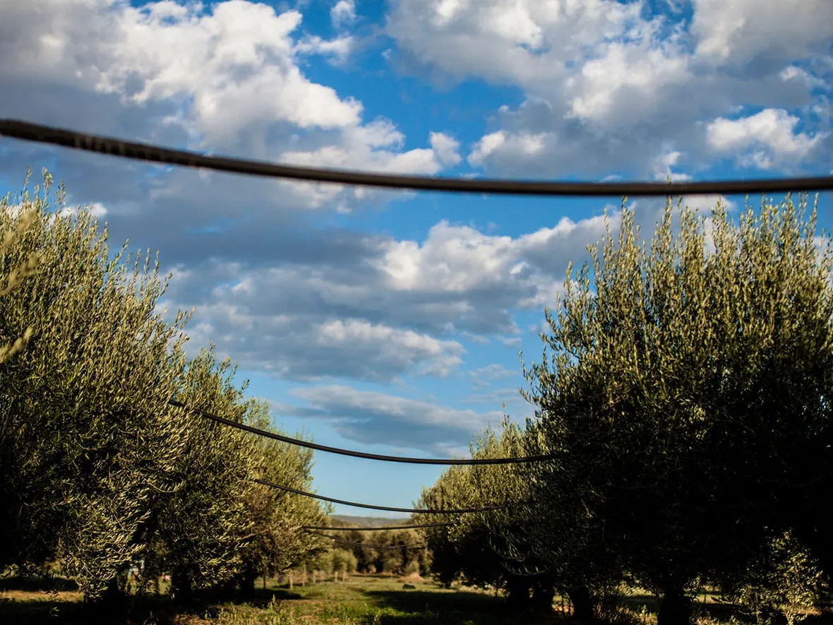 Sistema irrigazione