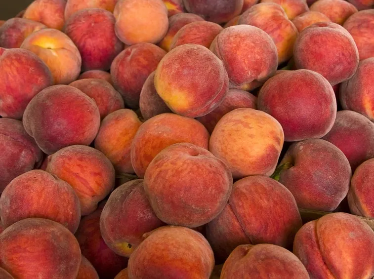 Frutti pesco