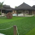 camposintetico2