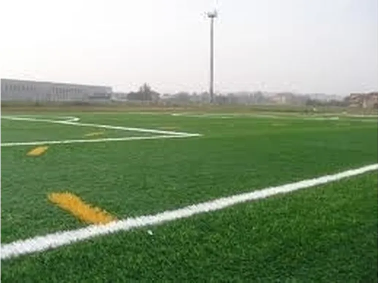 camposintetico1