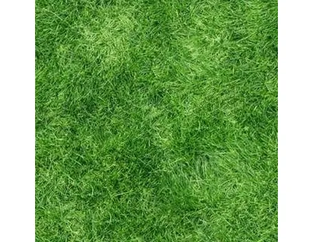 erbanaturale1