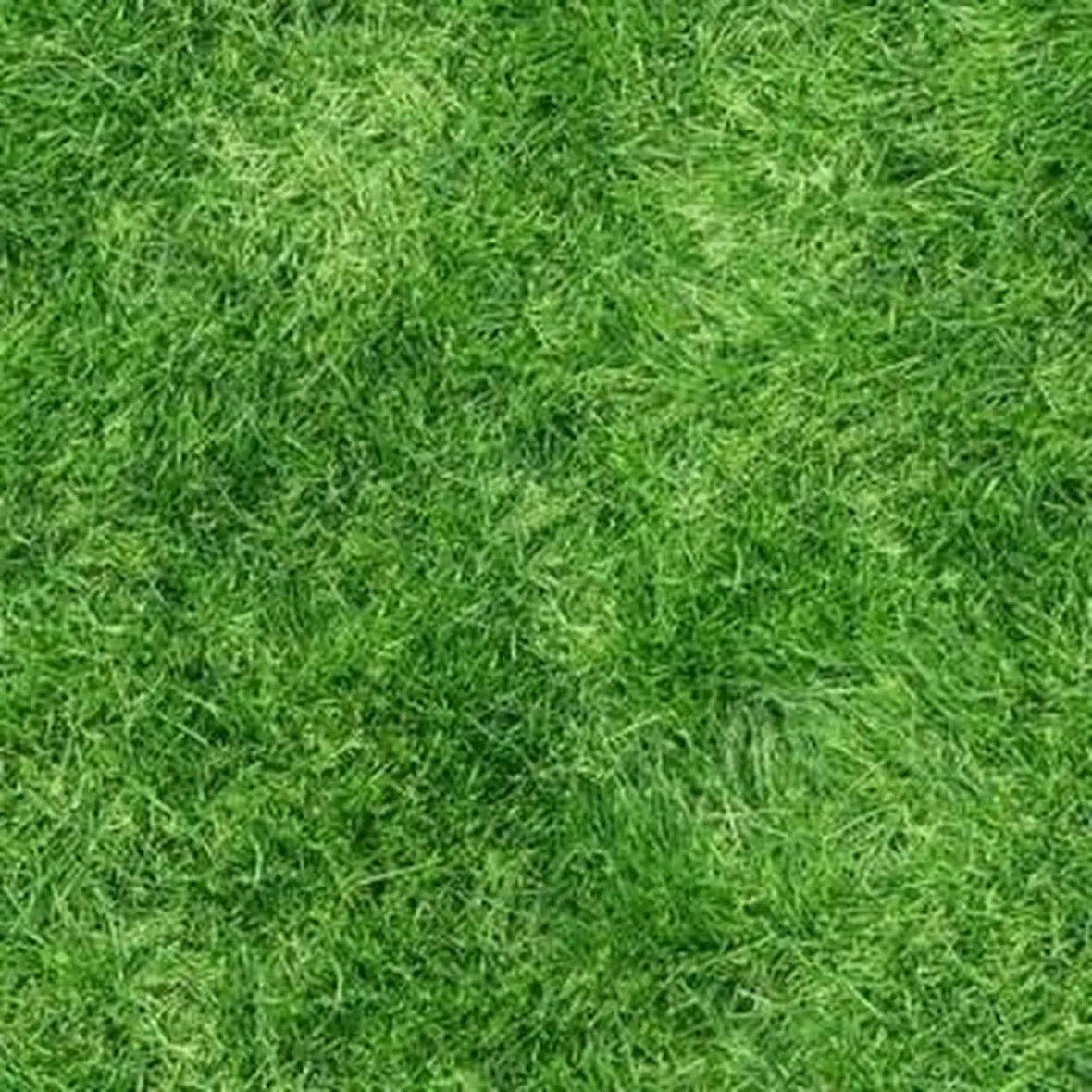 erbanaturale1
