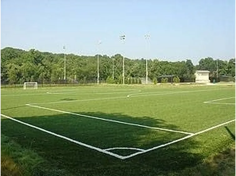 erbasinteticacalcio2