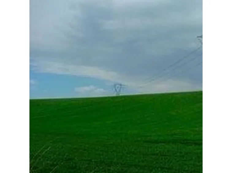 prato2-2