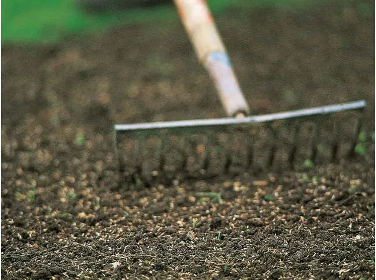 La fase di semina è la fase più importante per la realizzazione di un prato.