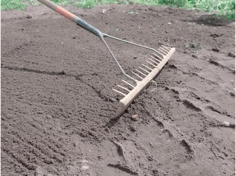 preparazione terreno