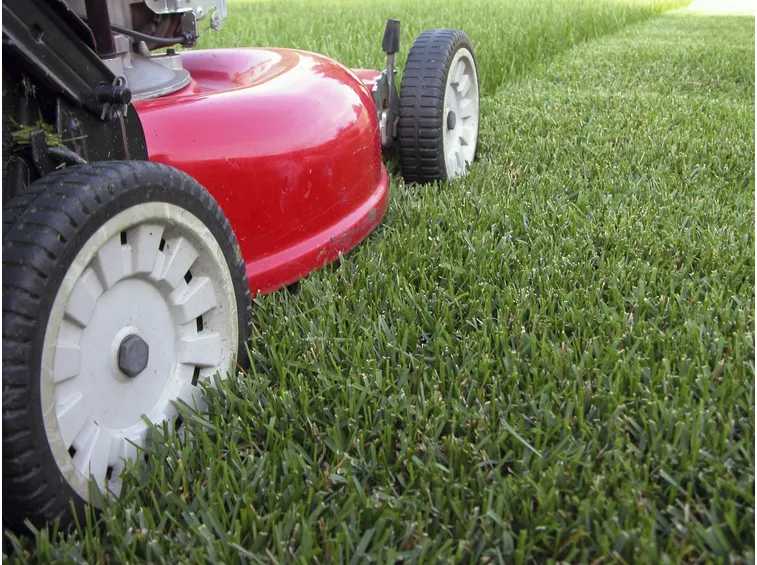 tagli prato