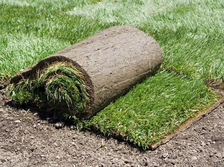 tappeto a rotoli