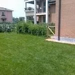 terriccioprato1