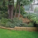 aiuola giardino casa