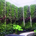 Nuove tendenze: il giardino verticale