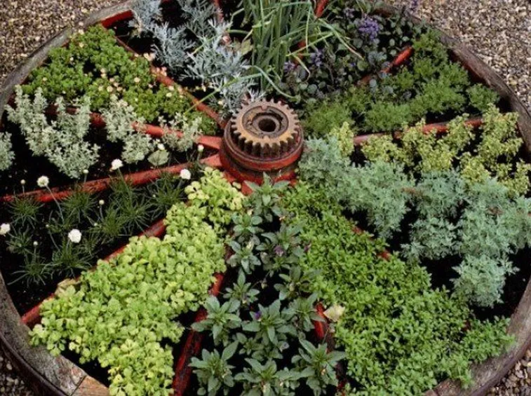 Verde e design: le aiuole