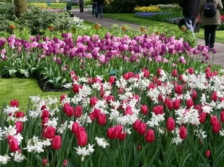 bordature giardino