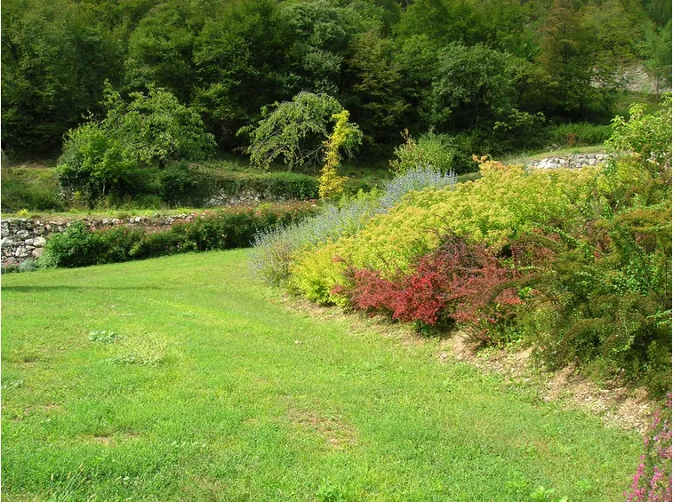 Un giardino con piante odorose al proprio interno
