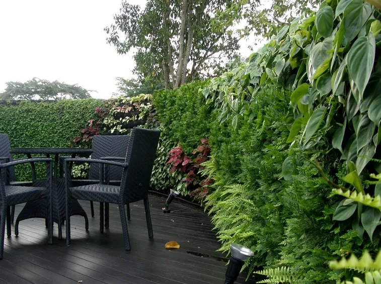 Esempio di giardino verticale