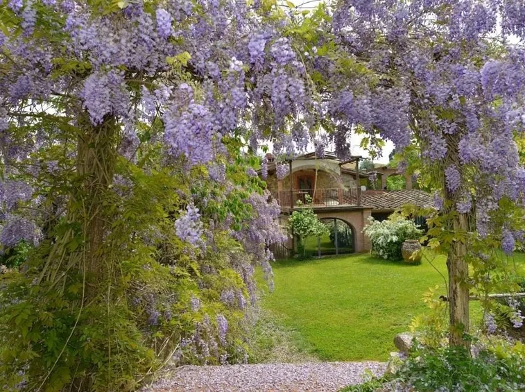 Giardino fiorito