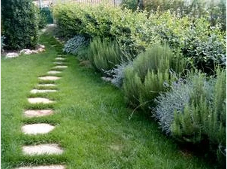 Elementi progettazione giardini