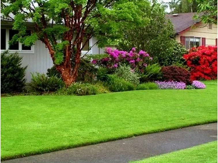 tipico prato inglese