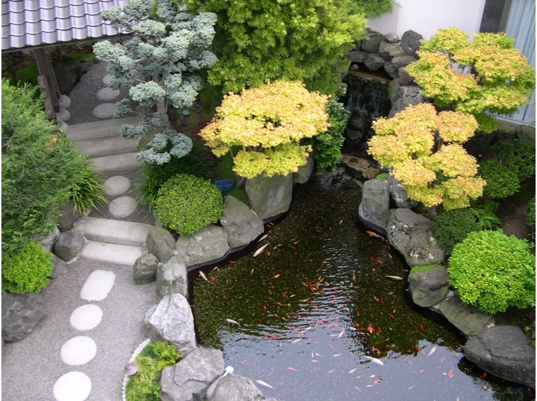 Anche un giardino molto piccolo può ospitare un meraviglioso laghetto zen