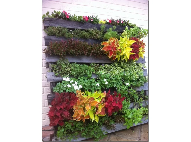 Giardino verticale realizzato con pallet