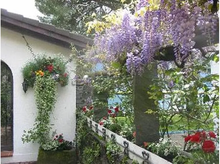 Giardini pensili