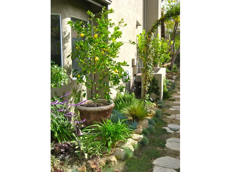 Piccolo spazio attrezzato a giardino