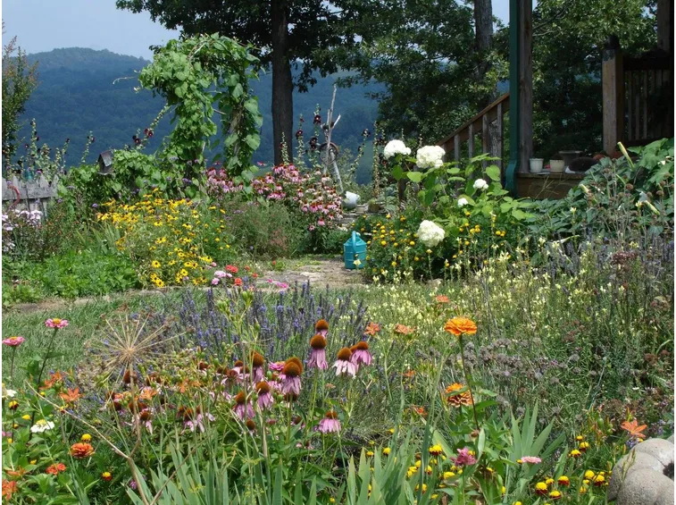 I giardini di montagna hanno una stagione breve ma sono un'esplosione di colori.