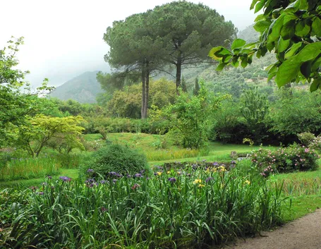 Giardino mediterraneo