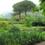 Giardino mediterraneo