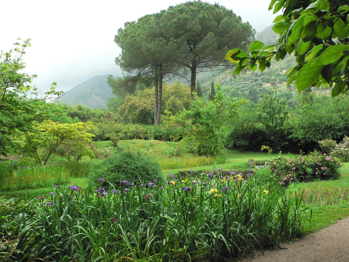 Giardino mediterraneo