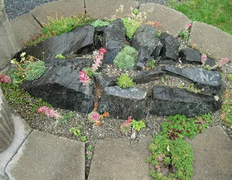 Angolo di giardino roccioso
