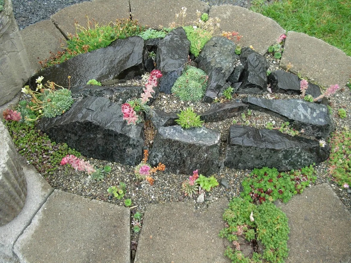 Angolo di giardino roccioso