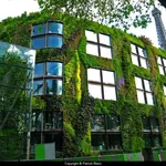 Parete del museo Branly