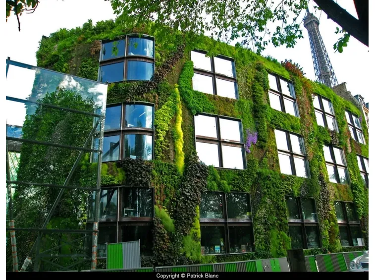 Parete del museo Branly