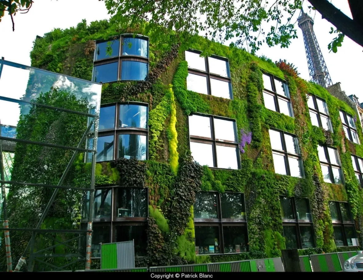 Parete del museo Branly