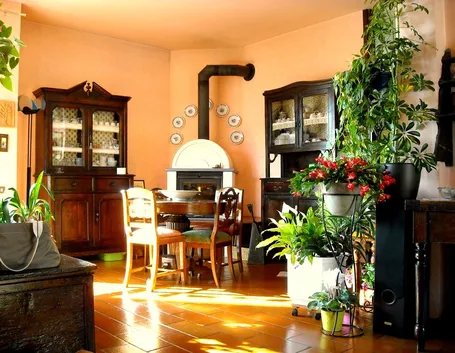 Giardino in appartamento