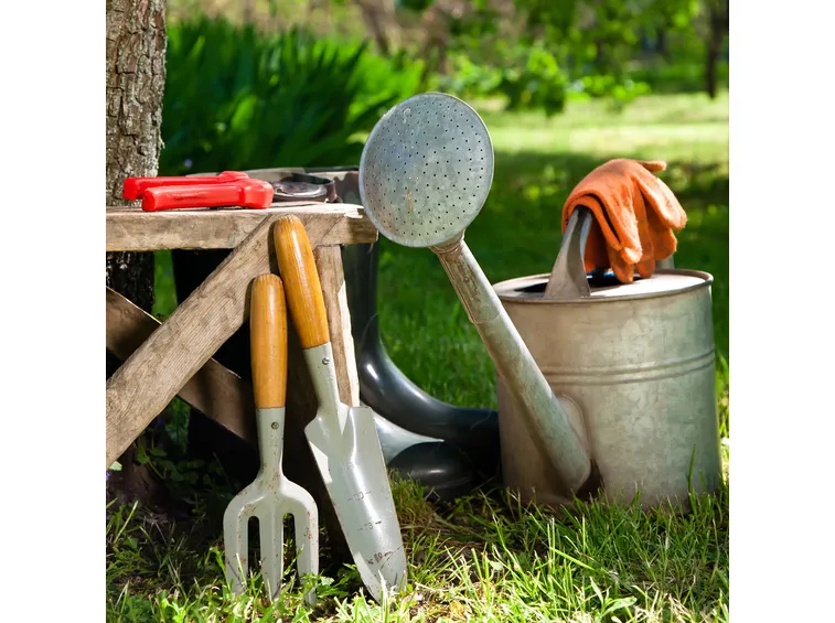 Esempio di progetto di giardino online
