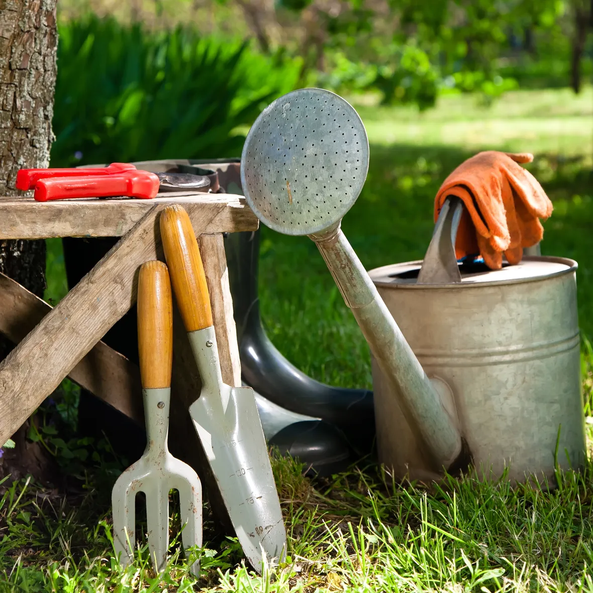 Esempio di progetto di giardino online