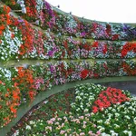 Uno splendido giardino verticale