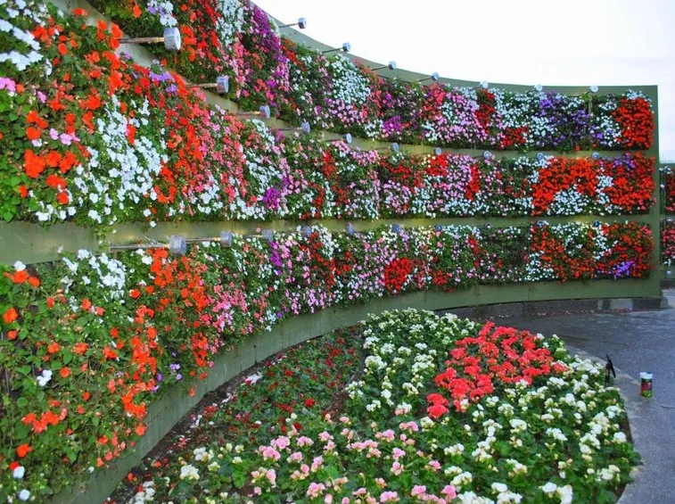 Uno splendido giardino verticale