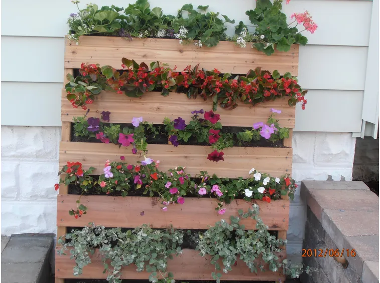 Giardino verticale fai da te con pallet