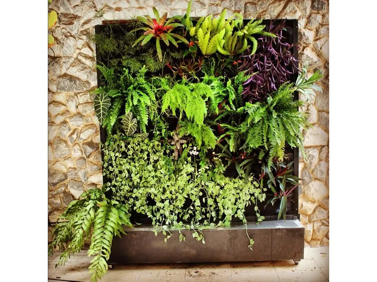 Esempio di giardino verticale fai da te