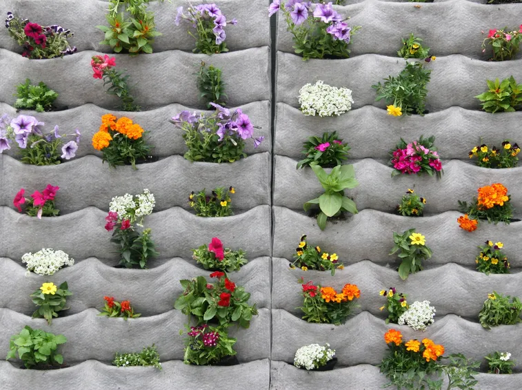 Giardino verticale in tasche di tessuto
