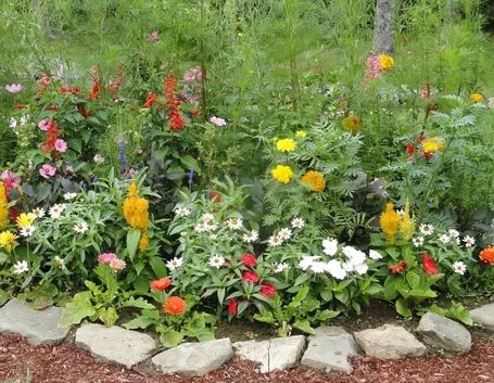 Giardino fiorito