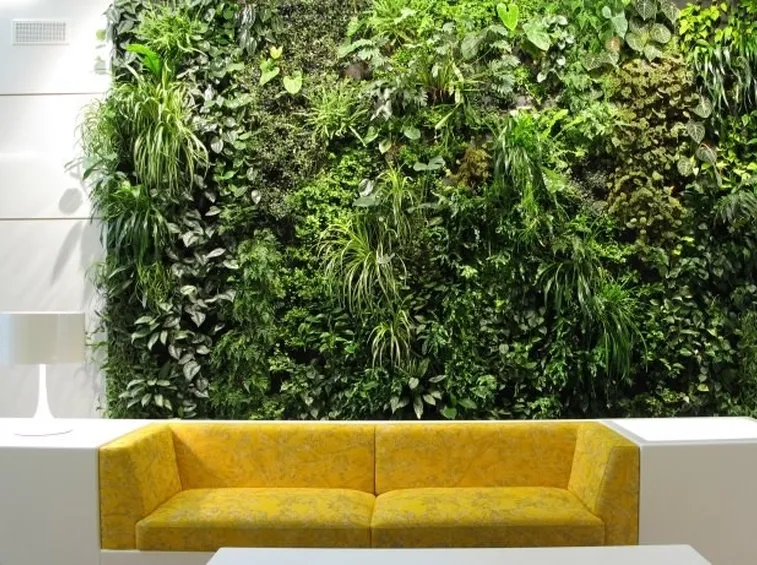Giardino verticale