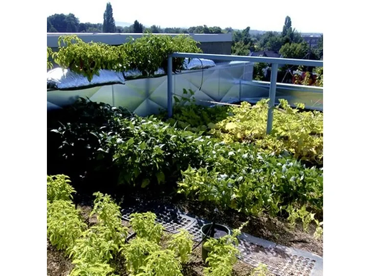 progettazione giardini pensili